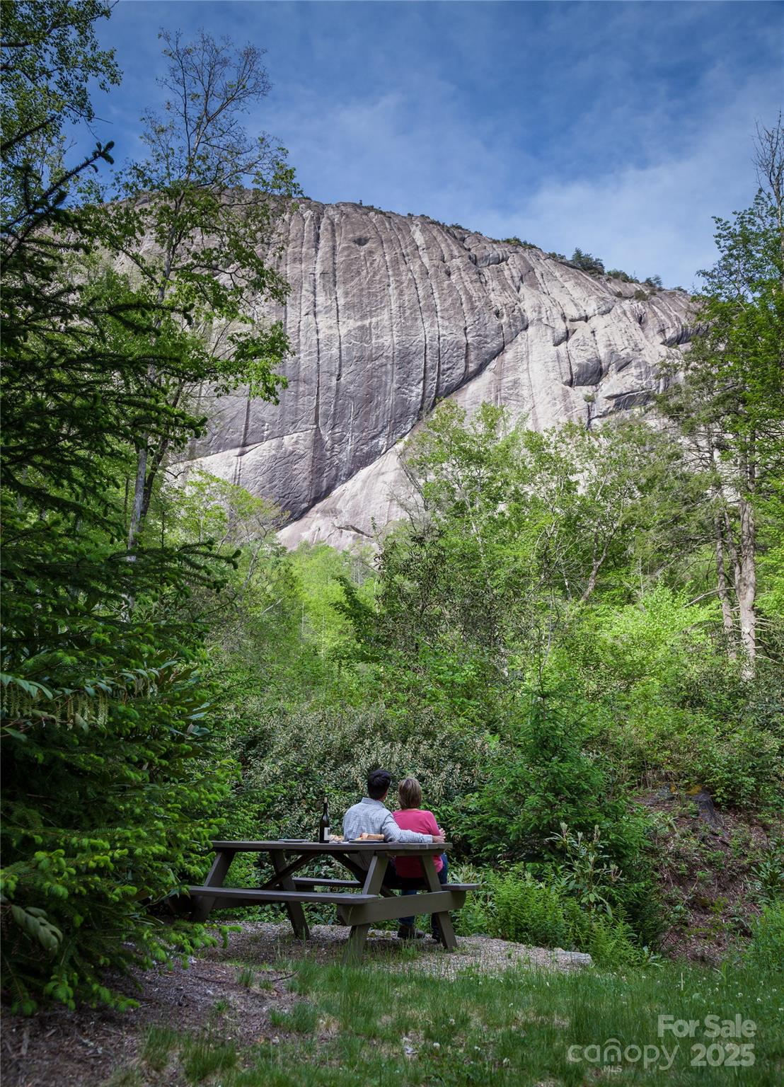 135 Lonesome Valley Road Sapphire, NC 28774 - Photo 45 of 46 a backyard of a house with lots of green space
