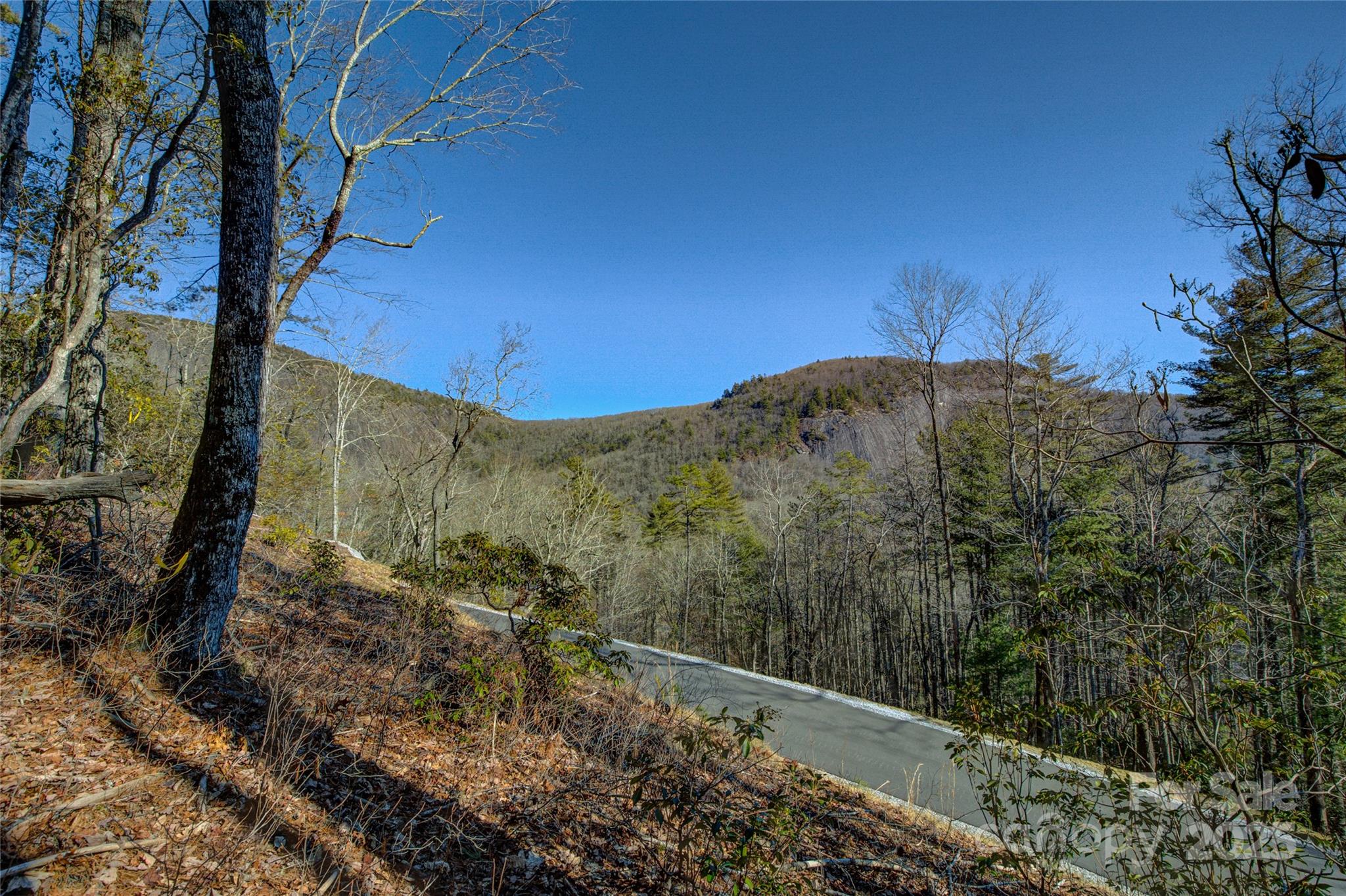 135 Lonesome Valley Road Sapphire, NC 28774 - Photo 6 of 46 a view of a yard