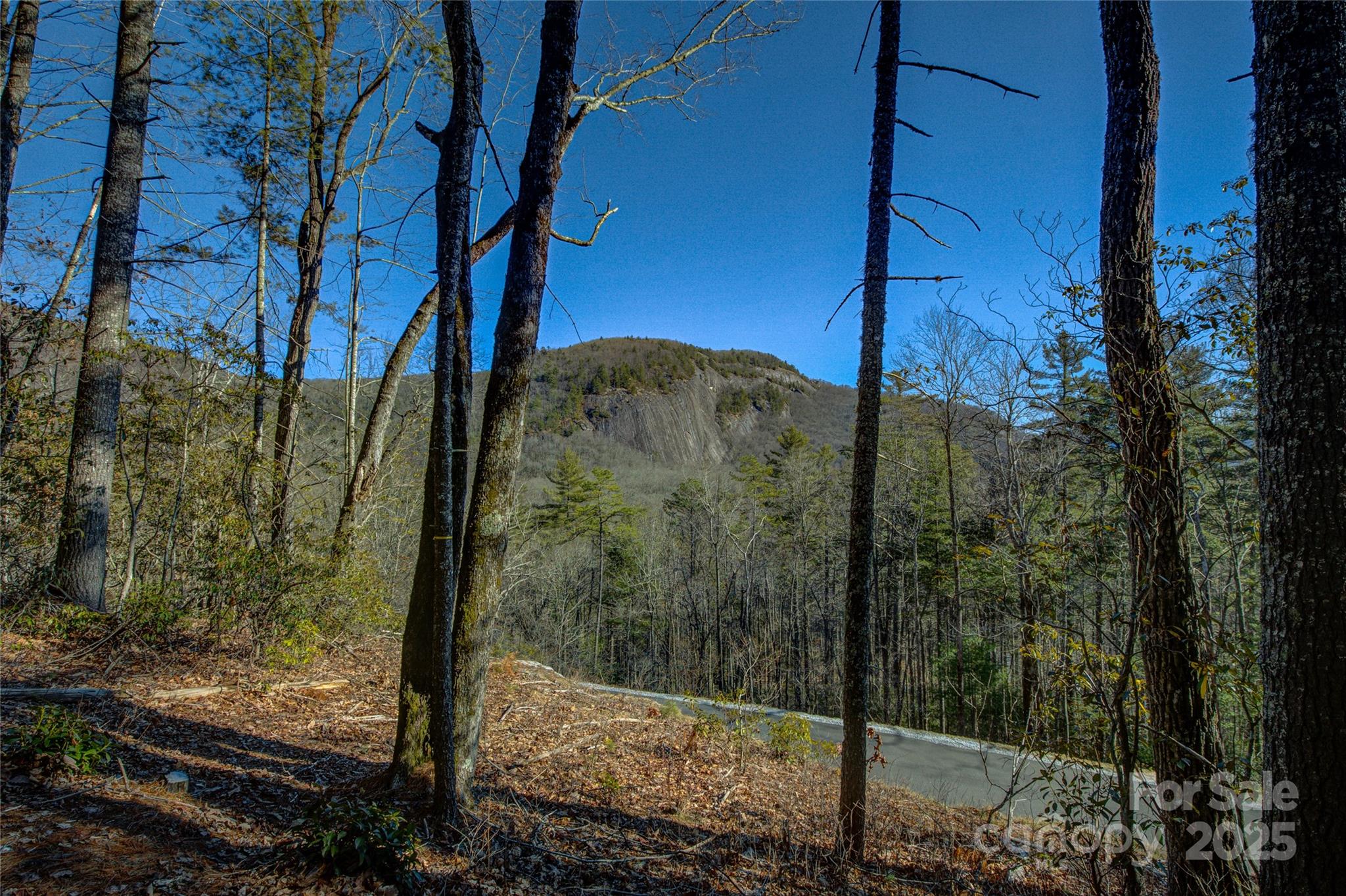 135 Lonesome Valley Road Sapphire, NC 28774 - Photo 7 of 46