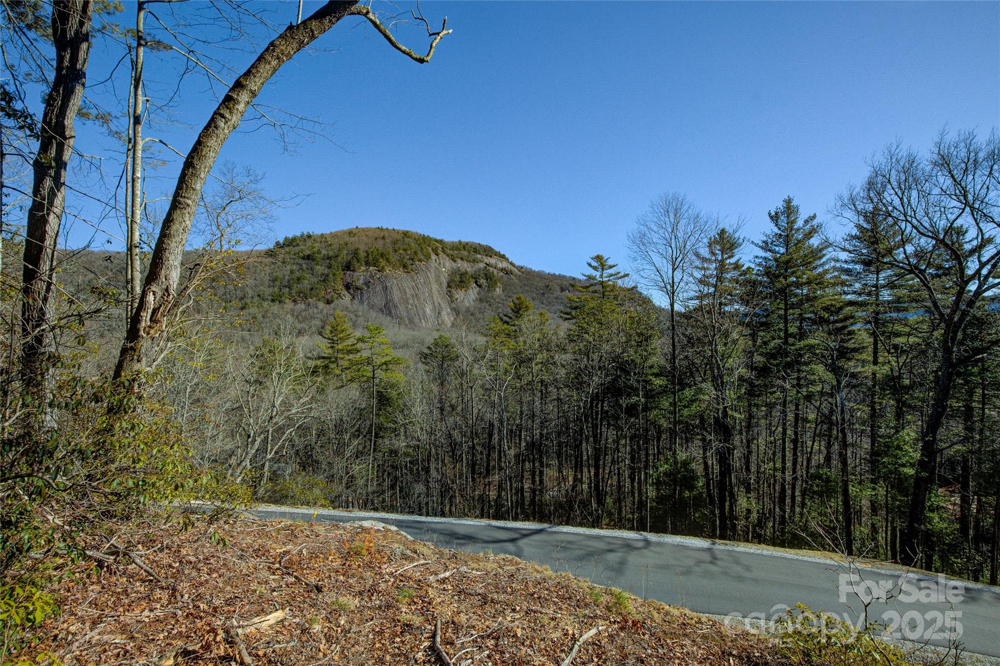 135 Lonesome Valley Road Sapphire, NC 28774 - Photo 8 of 46 a view of a yard