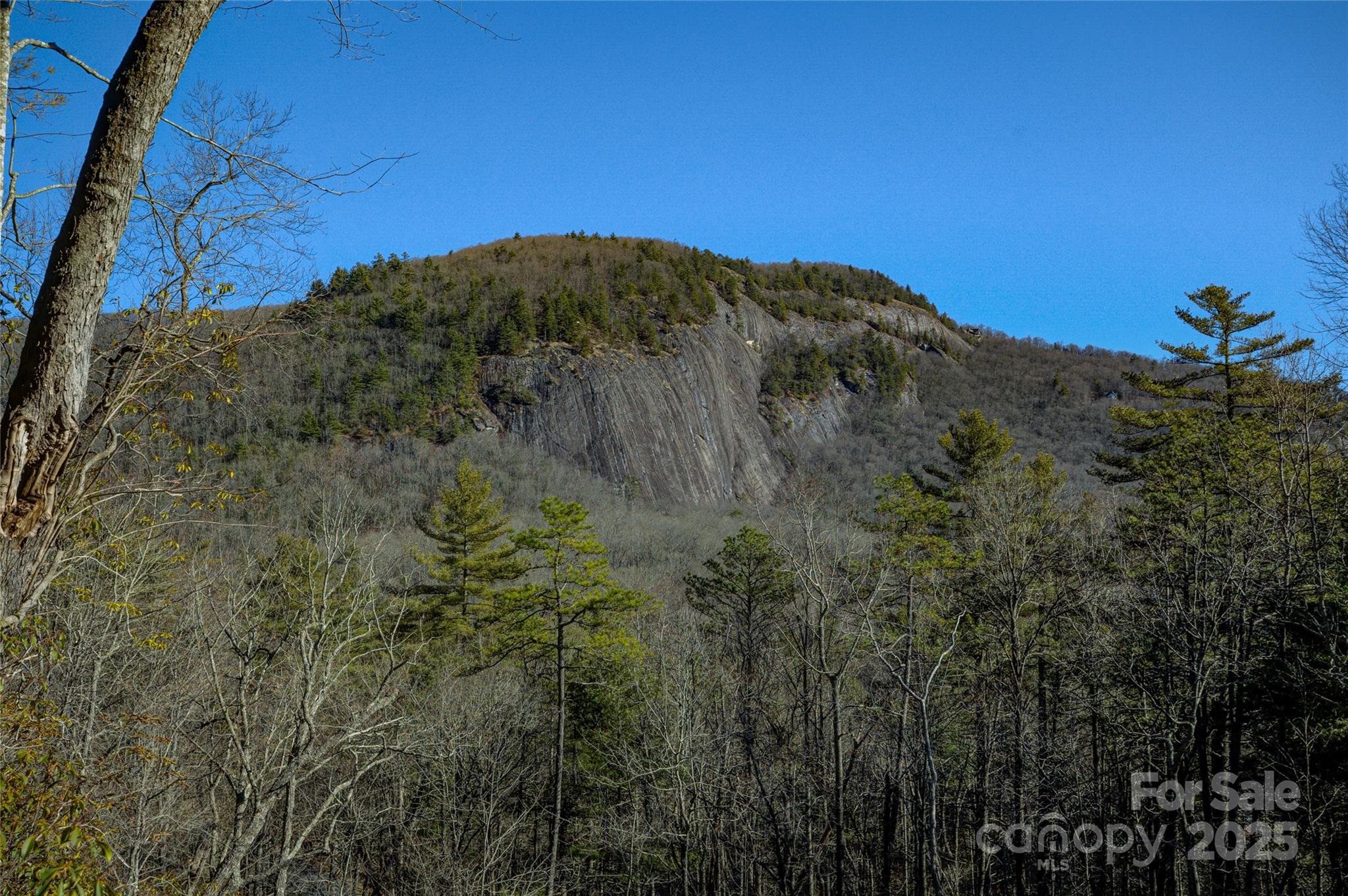 135 Lonesome Valley Road Sapphire, NC 28774 - Photo 9 of 46 a view of a field