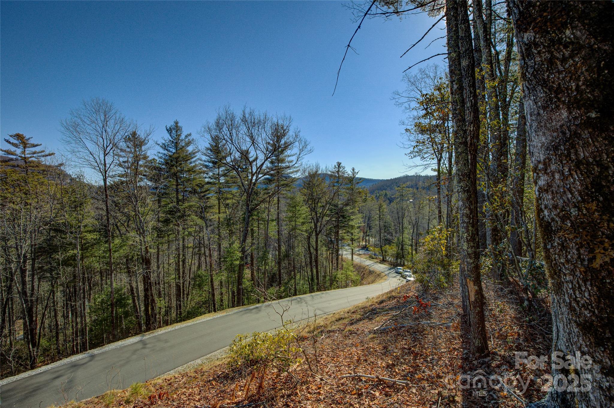 135 Lonesome Valley Road Sapphire, NC 28774 - Photo 10 of 46 a view of a forest with a tree