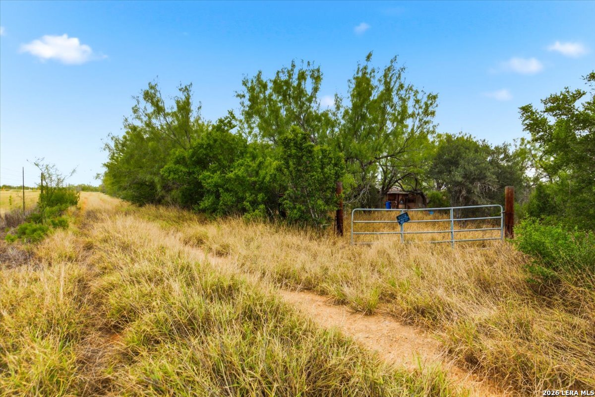 0 Carroll Road Dilley, TX 78017 - Photo 23 of 23 Gallery Image 23
