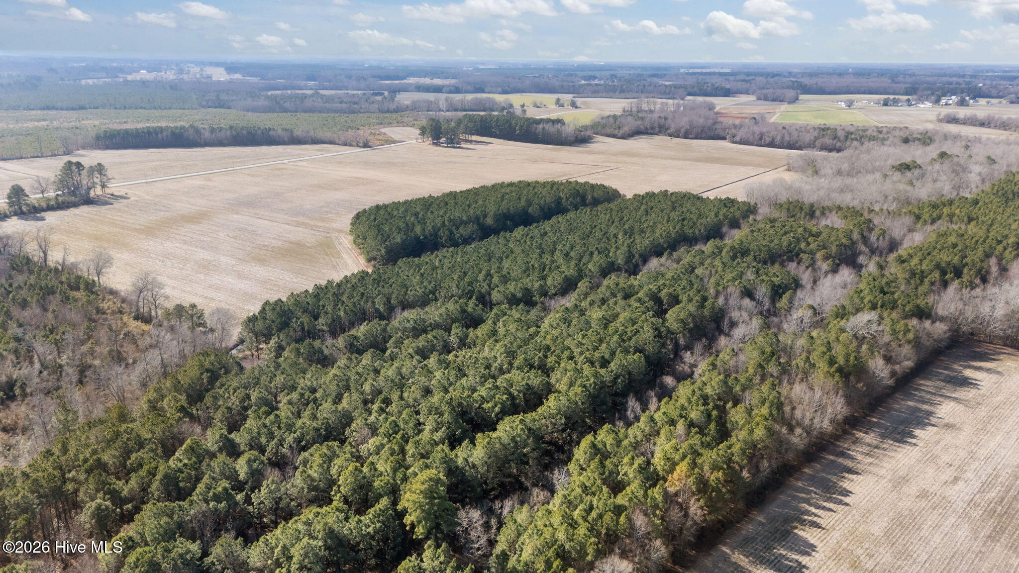 0 Grifton Hugo Road Grifton, NC 28530 - Photo 9 of 14 8-web-or-mls-DJI_20260121130502_0532_D
