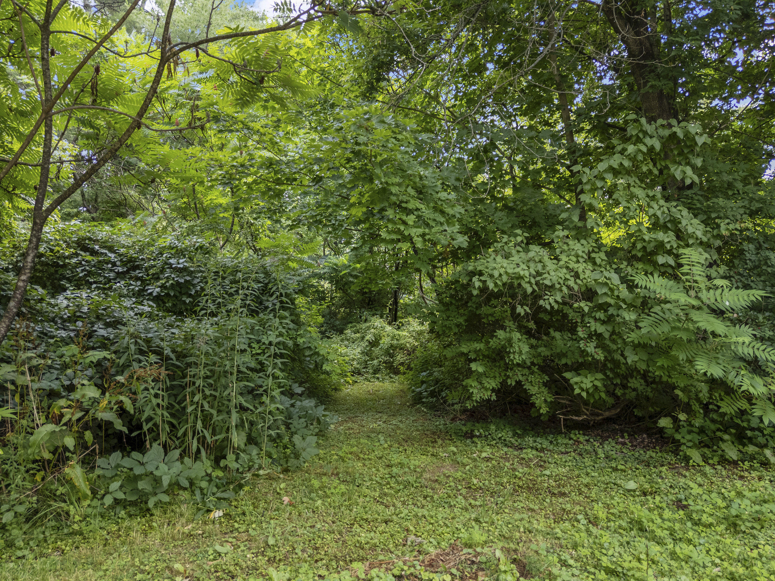 3 Leighton Road Augusta, ME 04330 - Photo 52 of 63 3 Leighton Rd_152