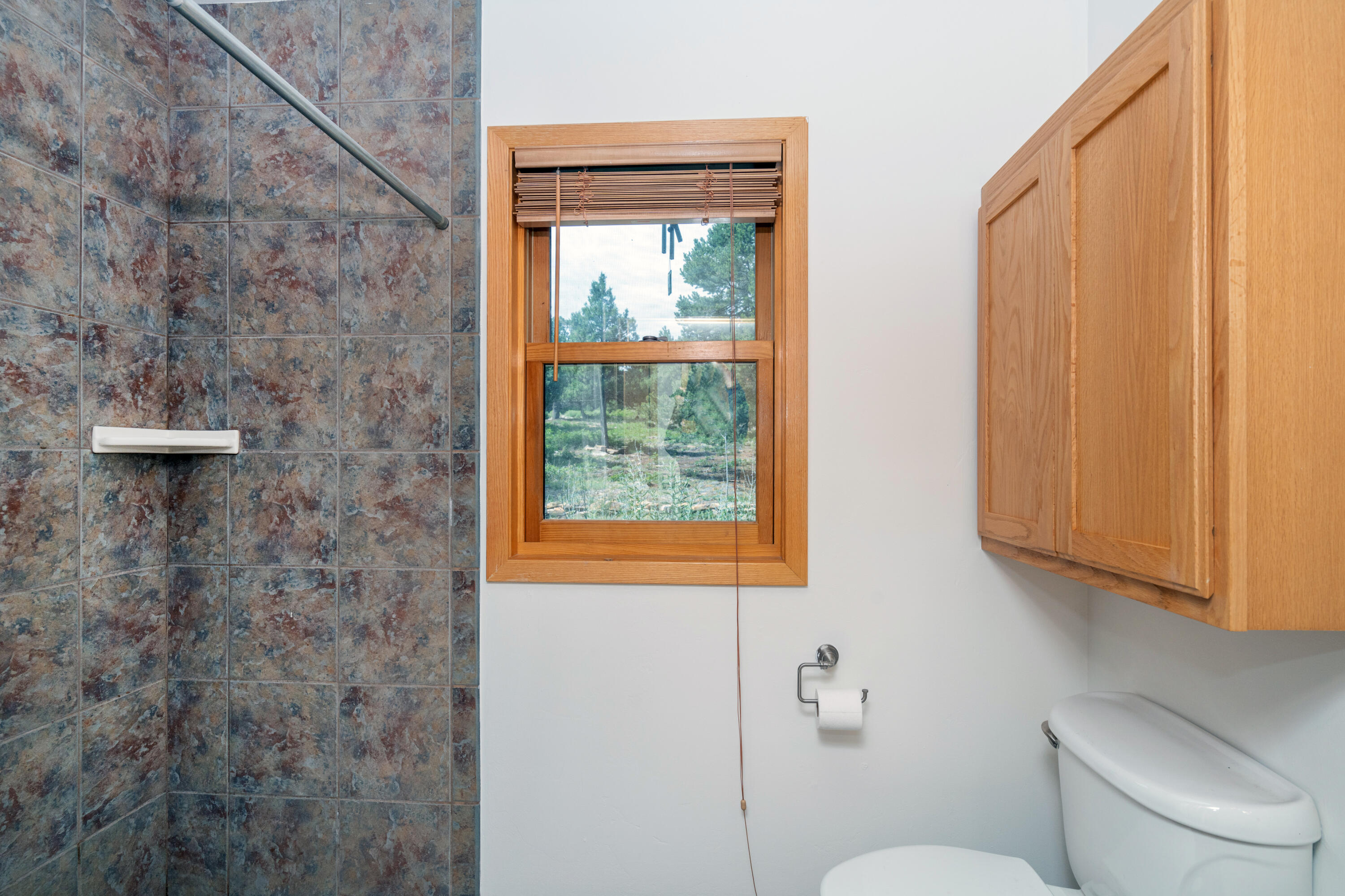 787 Pine Drive Ridgway, CO 81432 - Photo 14 of 42 a bathroom with a toilet sink and mirror
