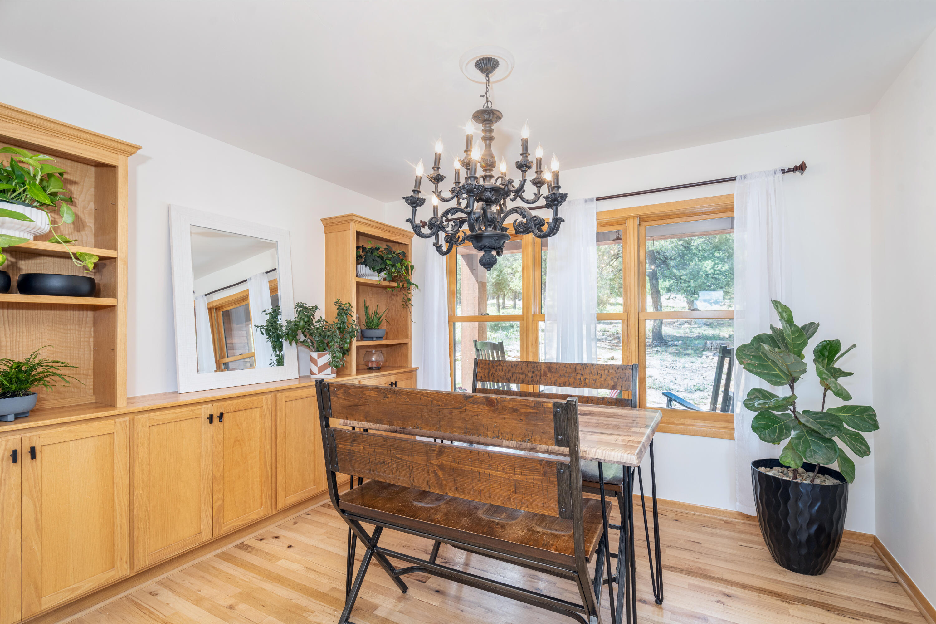 787 Pine Drive Ridgway, CO 81432 - Photo 15 of 42 a living room with furniture and a potted plant