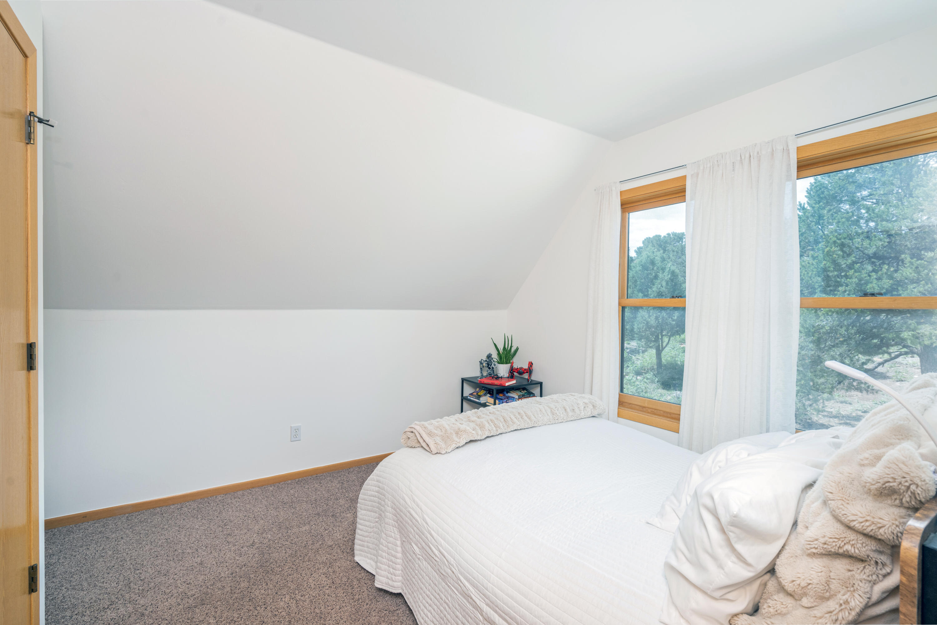 787 Pine Drive Ridgway, CO 81432 - Photo 18 of 42 a bed sitting in a bedroom next to a window