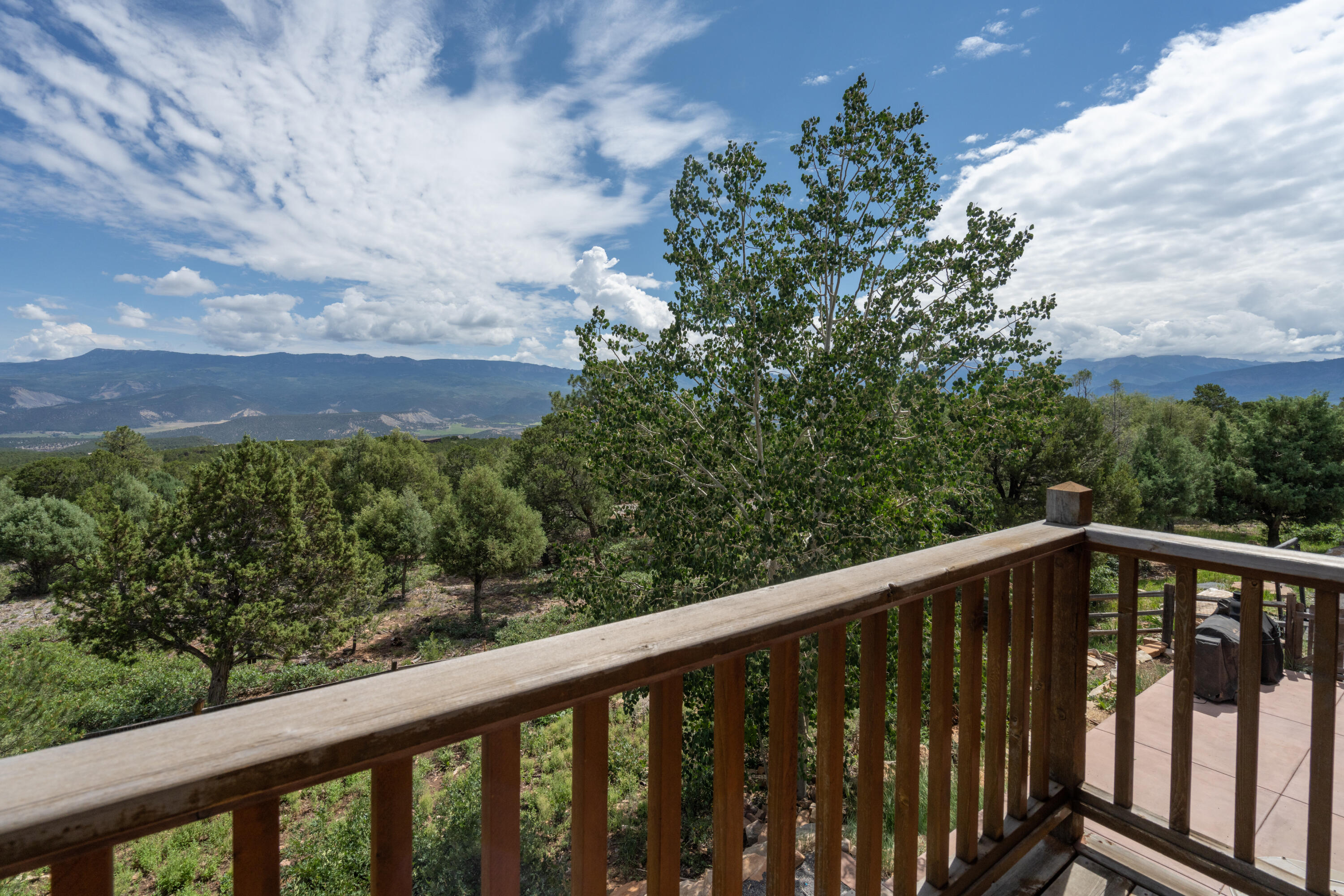 787 Pine Drive Ridgway, CO 81432 - Photo 27 of 42 a view of balcony with outdoor space