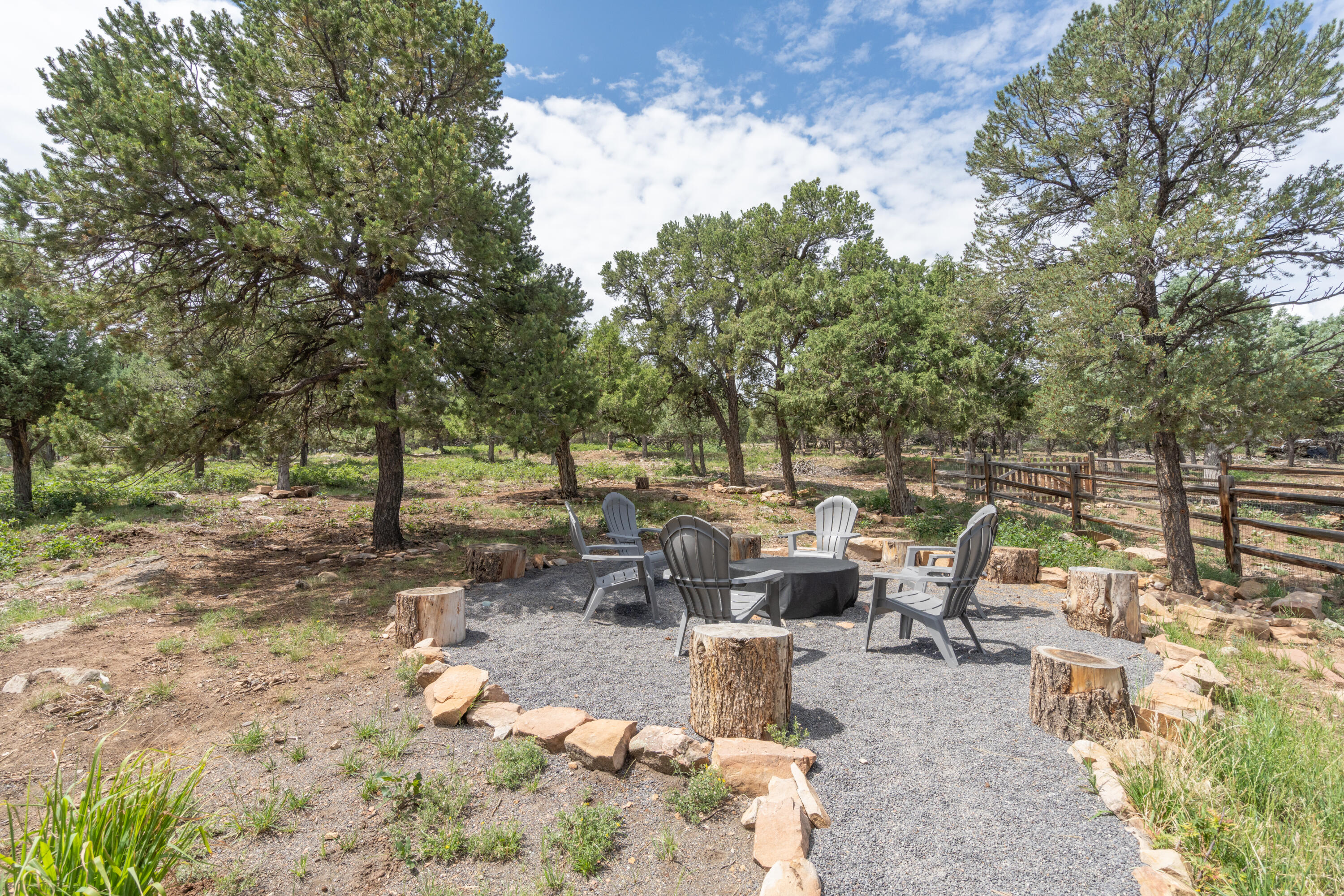 787 Pine Drive Ridgway, CO 81432 - Photo 32 of 42 a backyard of a house with table and chairs