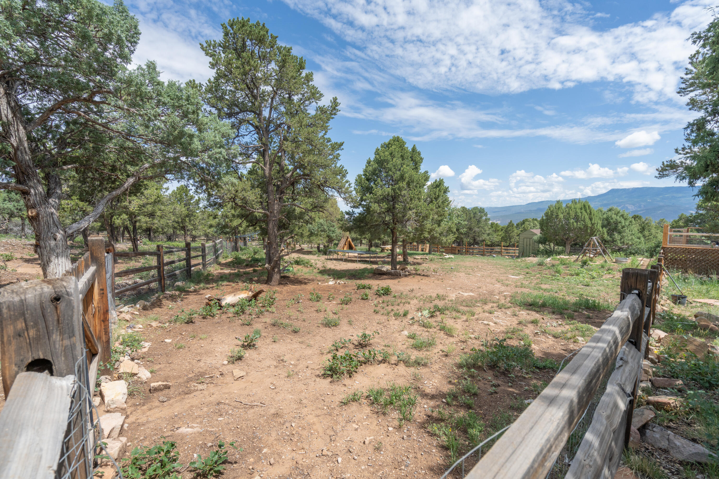 787 Pine Drive Ridgway, CO 81432 - Photo 33 of 42 a view of a yard with wooden fence