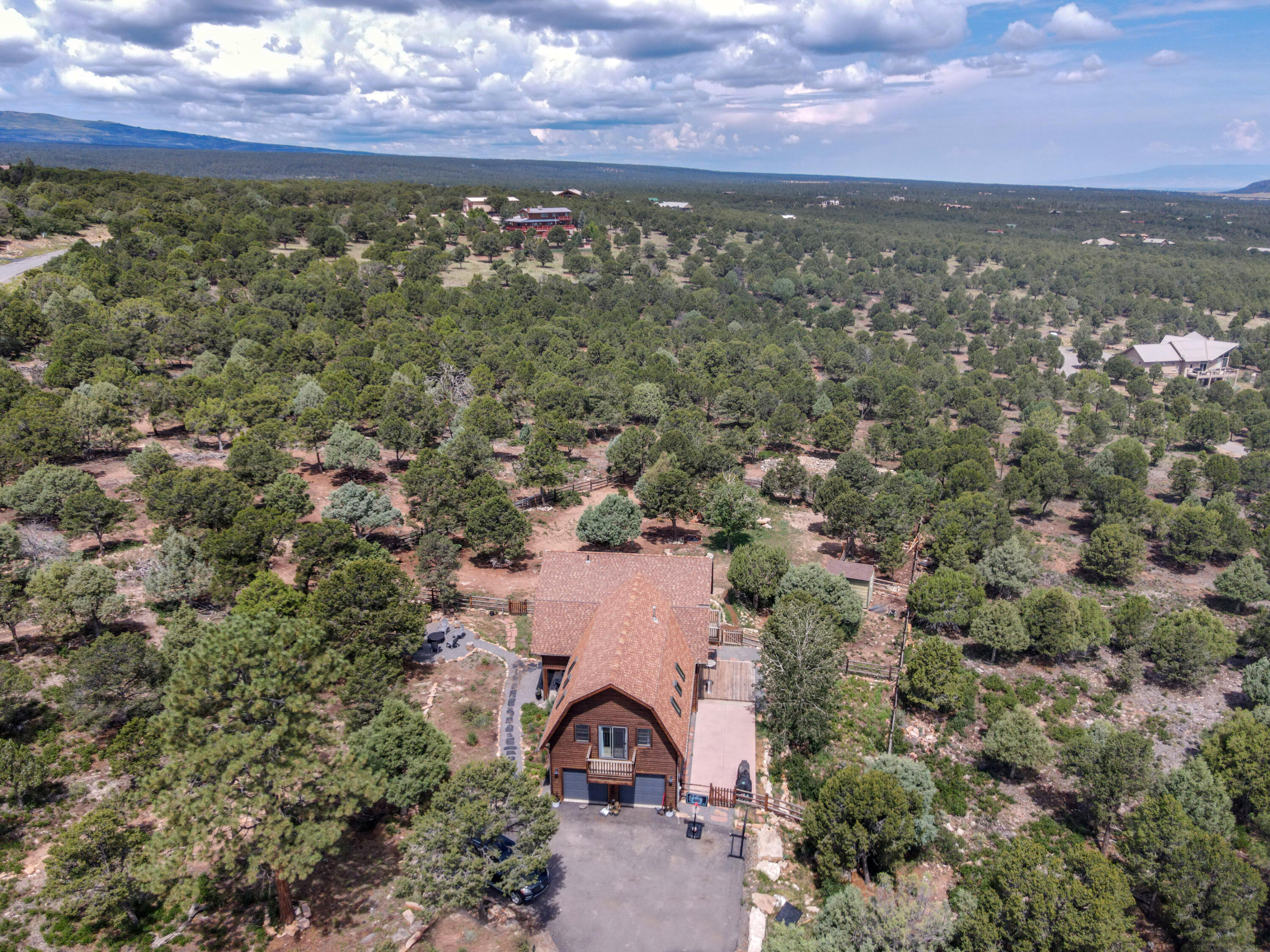 787 Pine Drive Ridgway, CO 81432 - Photo 6 of 42 a view of a yard