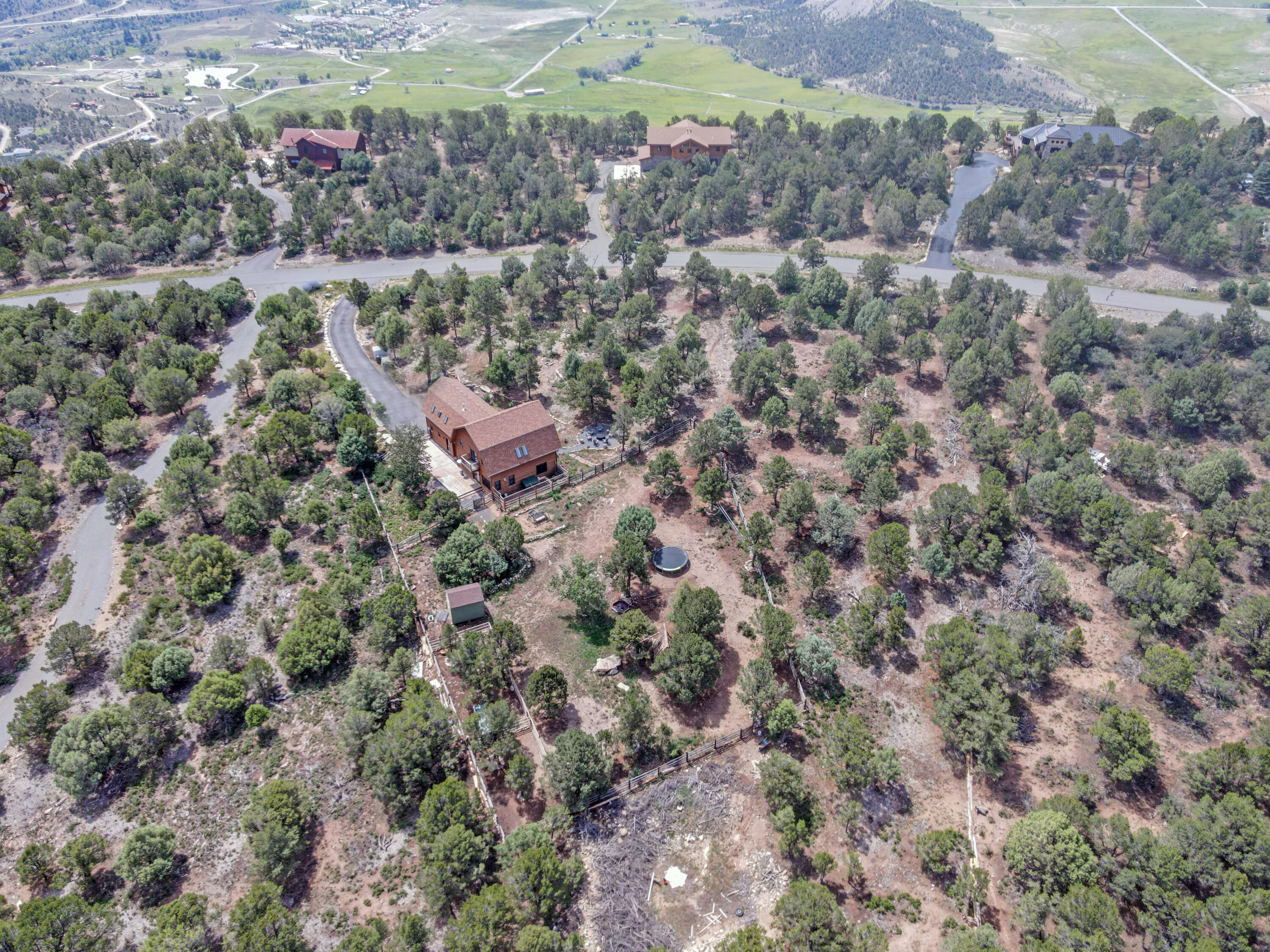 787 Pine Drive Ridgway, CO 81432 - Photo 10 of 42 an aerial view of residential house and parking space