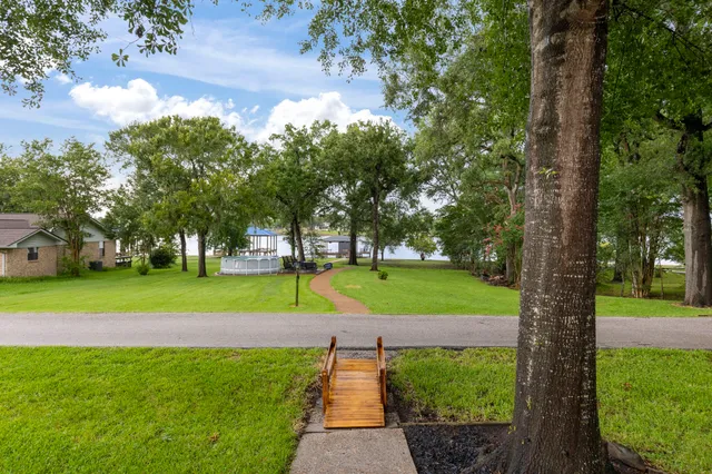 a view of a park with large trees