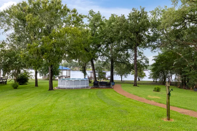 a view of a park with large trees
