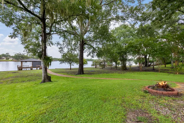 a view of a garden with trees