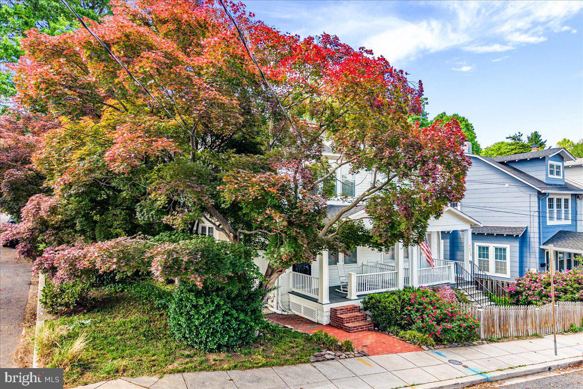 4651 Q Street Northwest Washington, DC 20007 - Photo 5 of 62 Trees and shrubs on side yard = privacy
