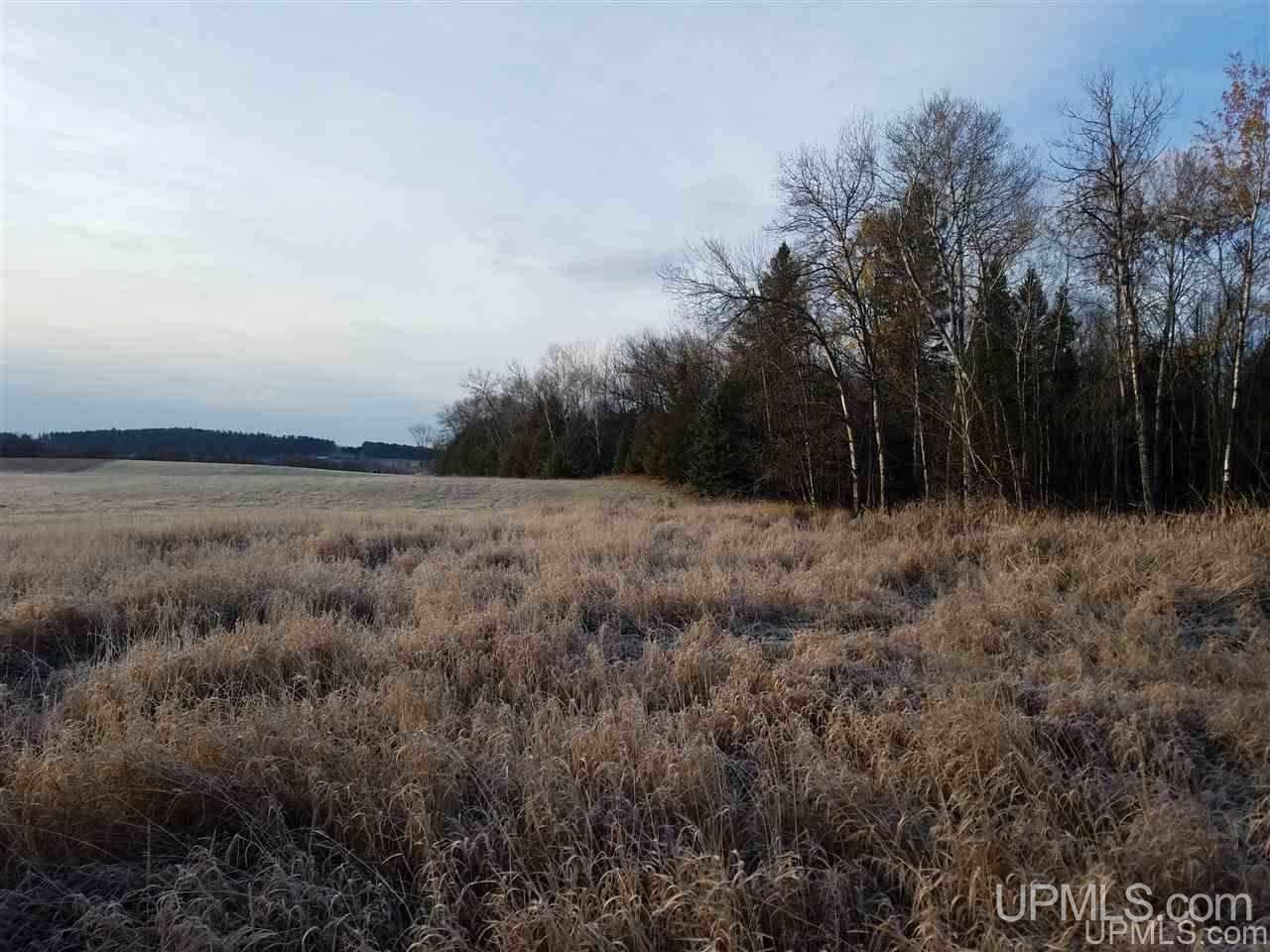 Tbd Valley View Road Norway, MI 49870 - Photo 17 of 27