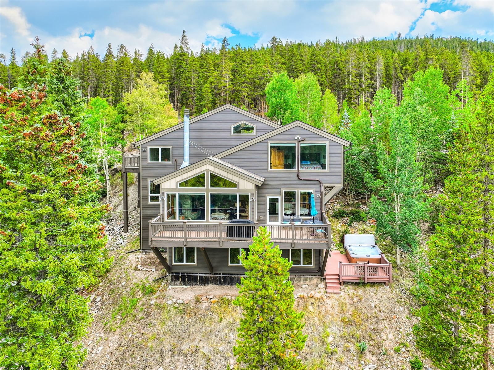 2542 Boreas Pass Road Breckenridge, CO 80424 - Photo 3 of 33 a aerial view of a house with a yard potted plants and large tree