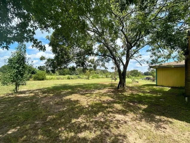a view of a trees with a yard