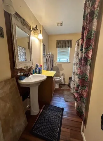 a bathroom with a sink a mirror and a toilet