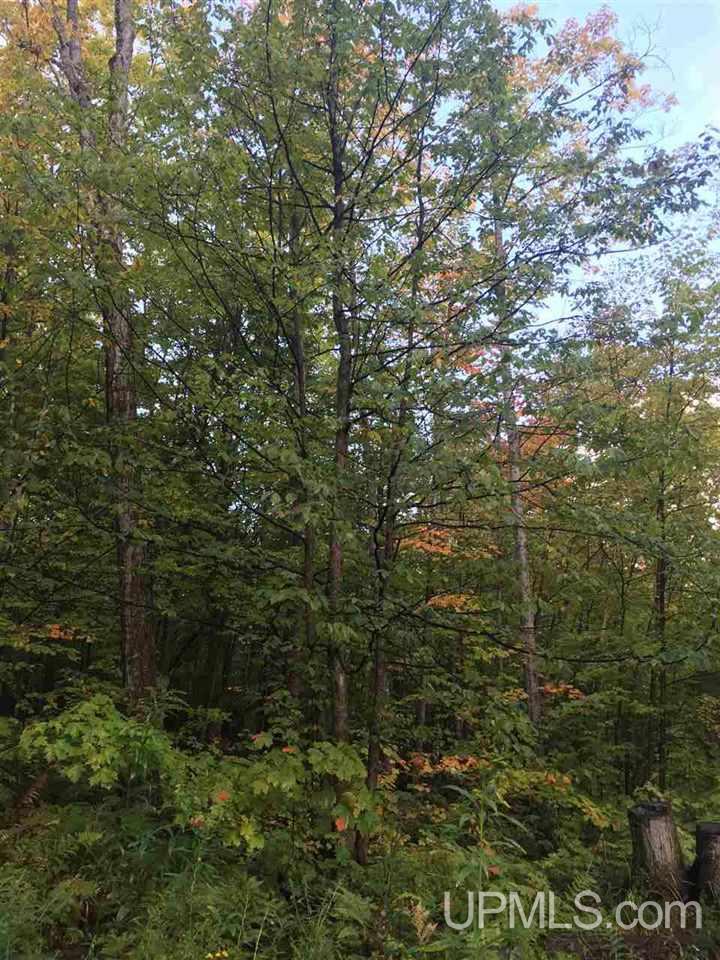 33 Makinen Road Jl Road Negaunee, MI 49866 - Photo 8 of 11