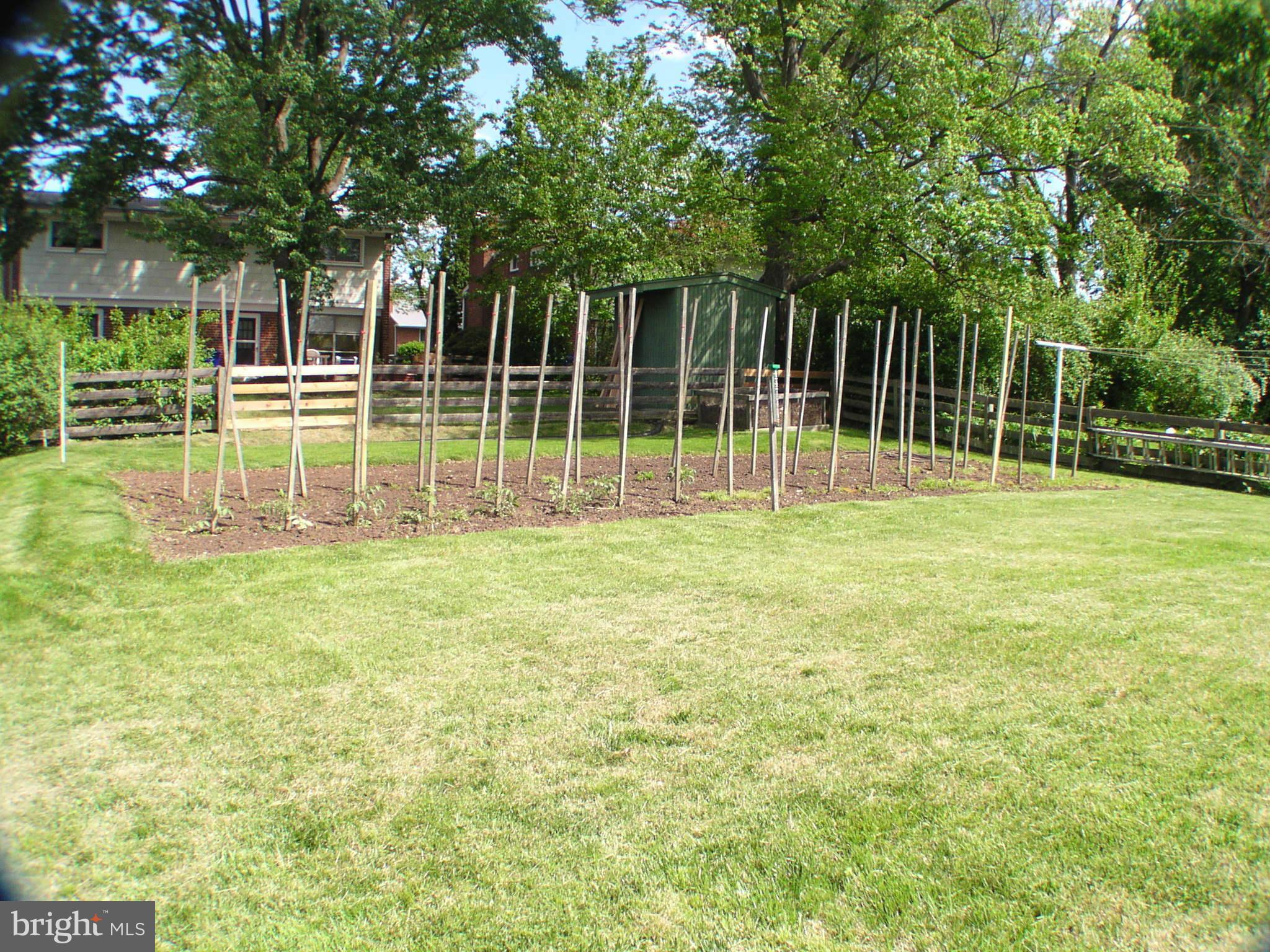 12919 Goodhill Road Silver Spring, MD 20906 - Photo 4 of 5 Garden