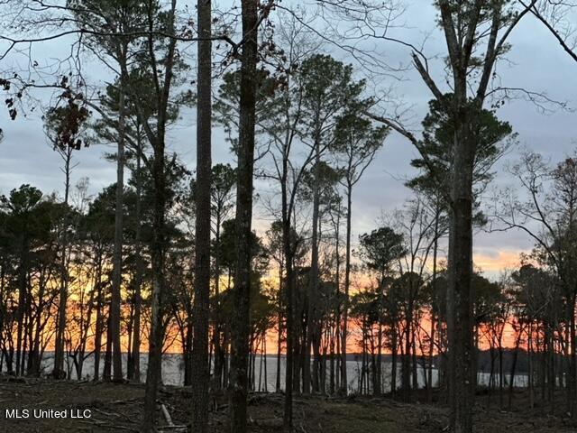 Lot 23 Neptune Shore Canton, MS 39046 - Photo 6 of 20 IMG_3791