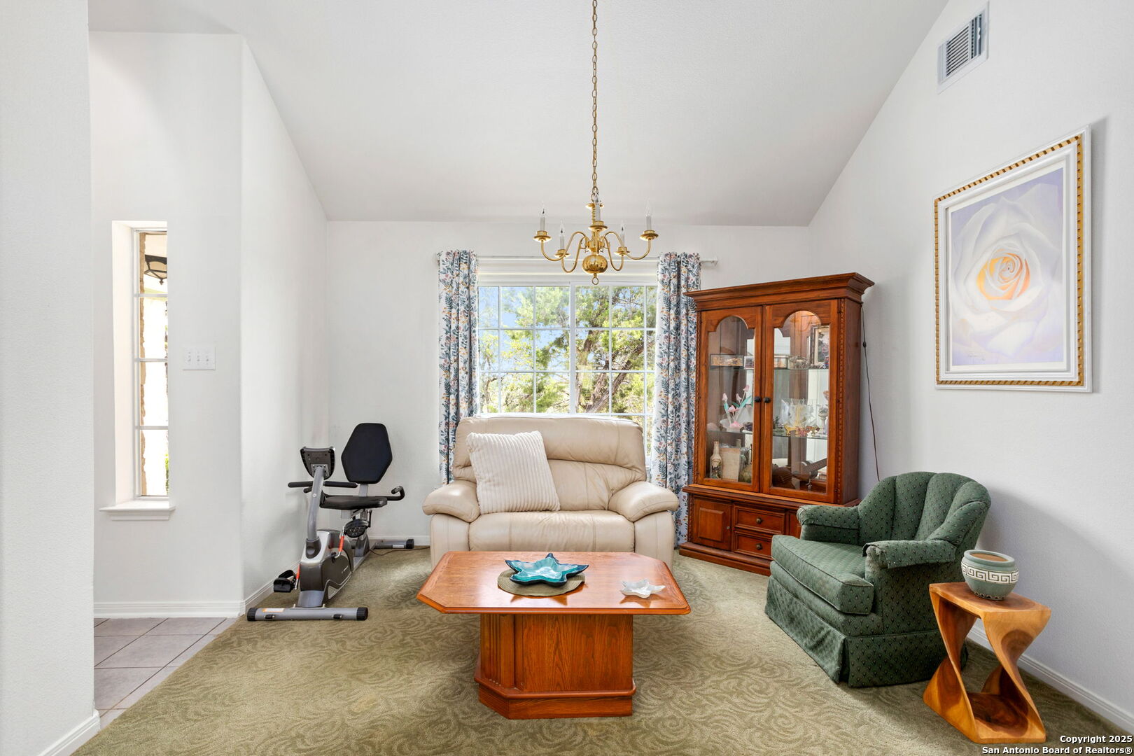 655 Shepherds Bulverde, TX 78163 - Photo 9 of 40