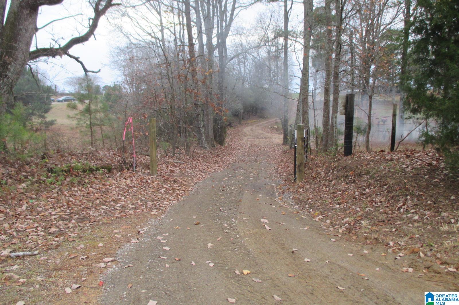 10362 Co Highway 24 Oneonta, AL 35121 - Photo 4 of 17