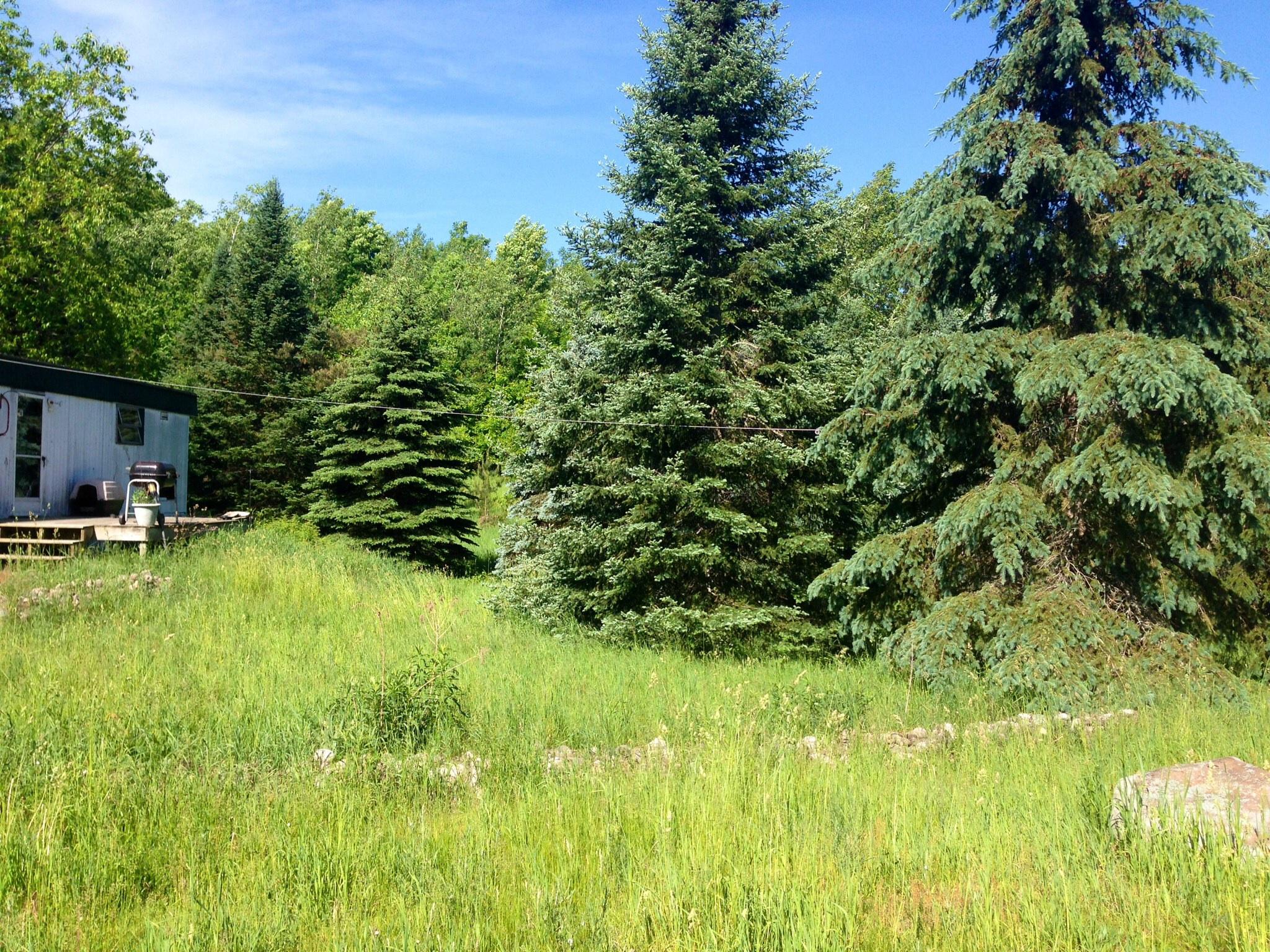 1382 Splendor Valley Road Johannesburg, MI 49751 - Photo 2 of 9 Gallery Image 2