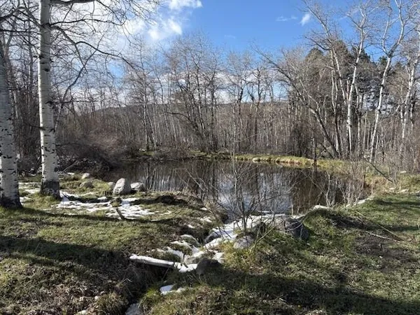 $1,000,000 | 8 Buck Trail, Story, WY 82842