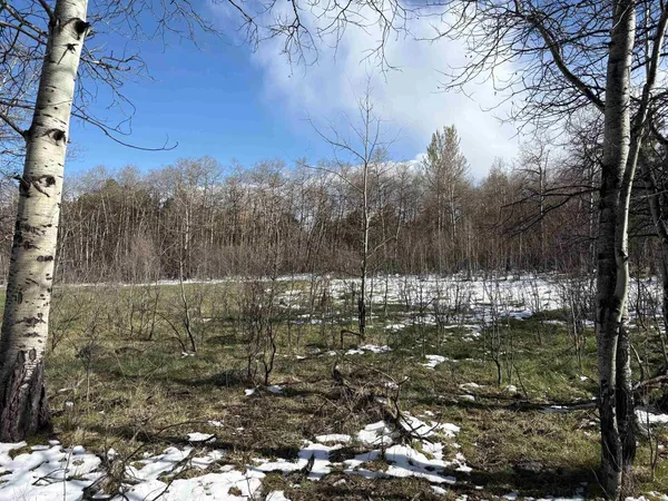 $1,000,000 | 8 Buck Trail, Story, WY 82842