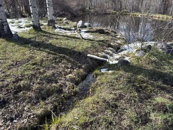 $1,000,000 | 8 Buck Trail, Story, WY 82842