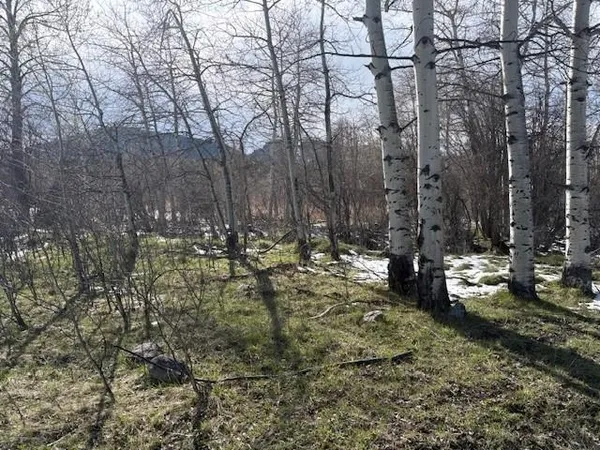 $1,000,000 | 8 Buck Trail, Story, WY 82842