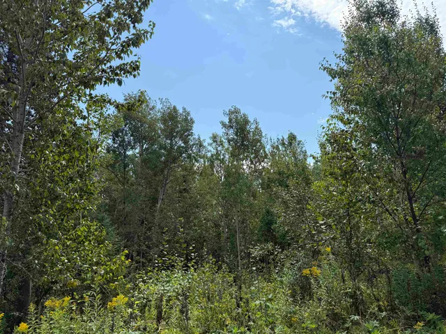 $280,000 | 10-xx West 4th Street, Grand Marais, MN 55604