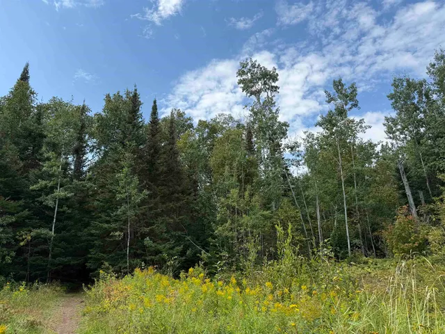 $280,000 | 10-xx West 4th Street, Grand Marais, MN 55604