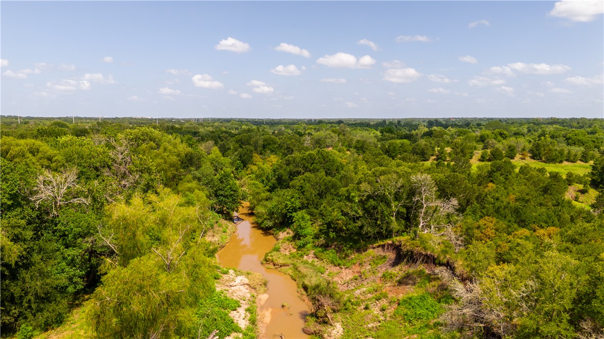 0 Leonard Road Bryan, TX 77807 - Photo 17 of 24 Drone / aerial view of a forest