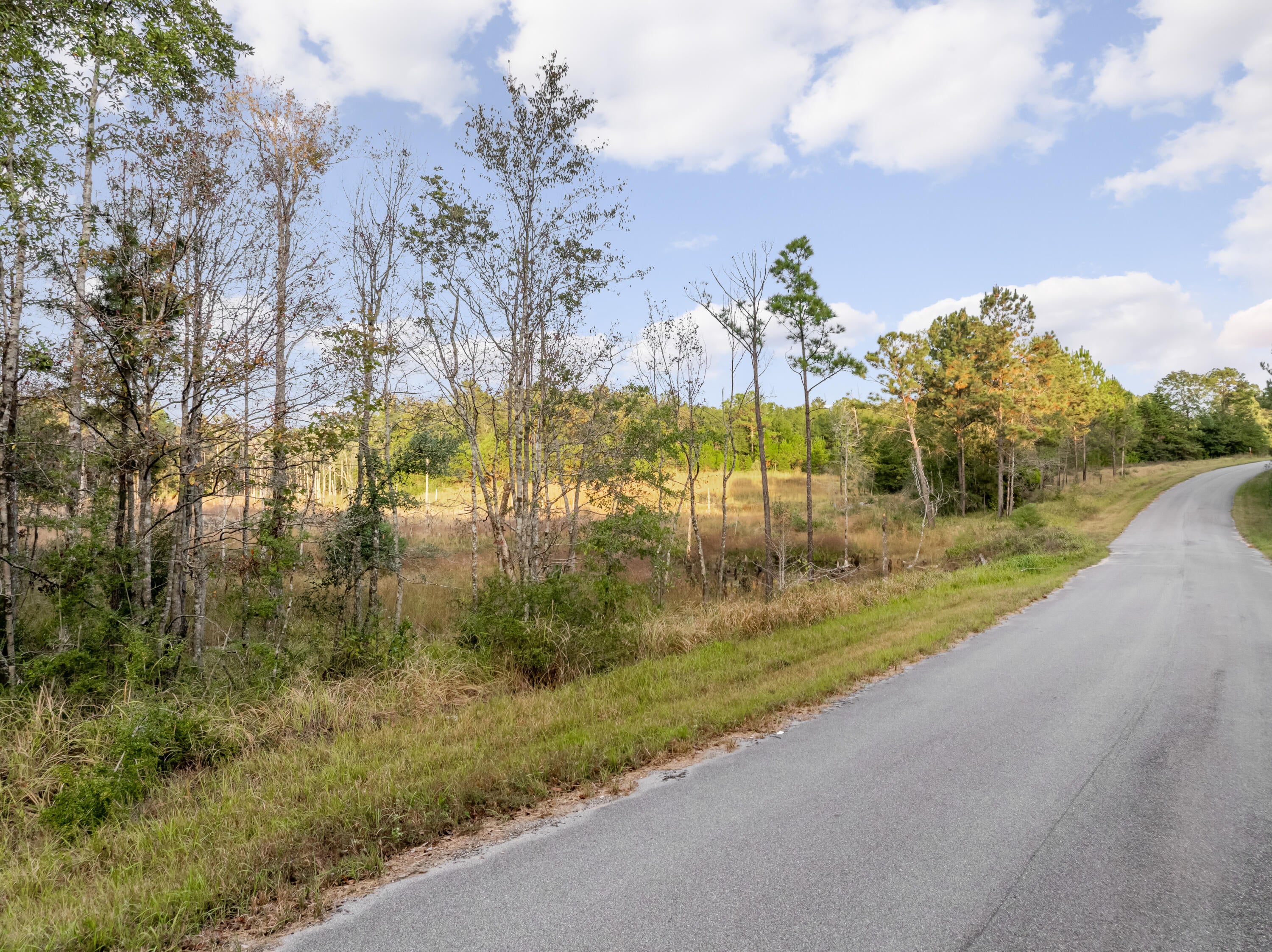 10.4 Pete Miles Road Lucedale, MS 39452 - Photo 3 of 25 00_Pete_Miles_Rd-3