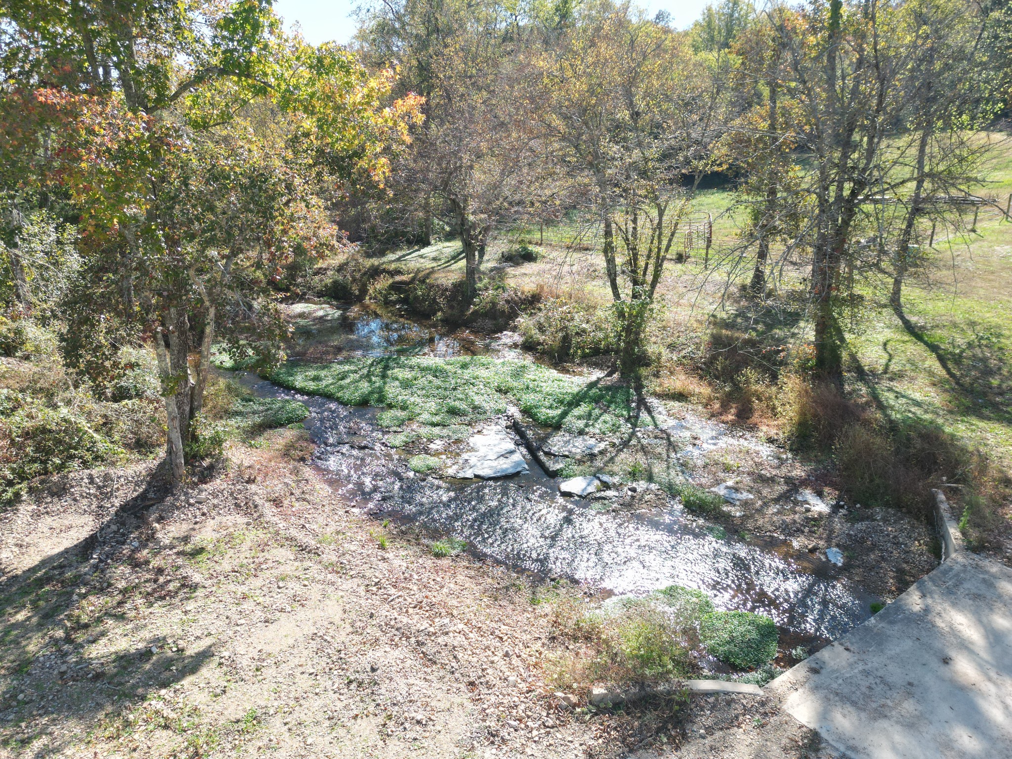 302 Faith Way Waynesboro, TN 38485 - Photo 43 of 99