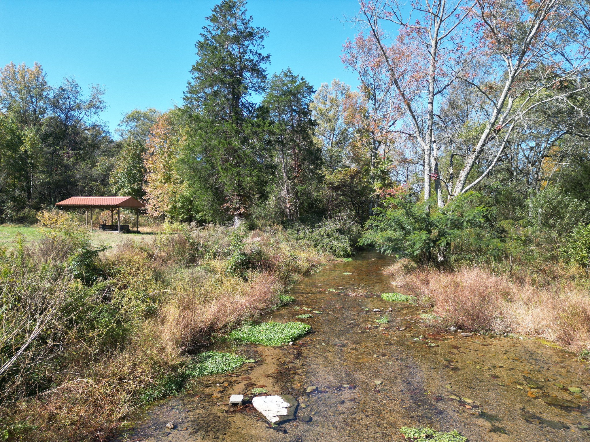 302 Faith Way Waynesboro, TN 38485 - Photo 60 of 99 a view of a lake with green space