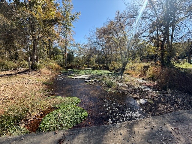 302 Faith Way Waynesboro, TN 38485 - Photo 91 of 99 a view of a yard with plants and trees