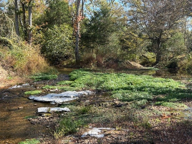 302 Faith Way Waynesboro, TN 38485 - Photo 99 of 99