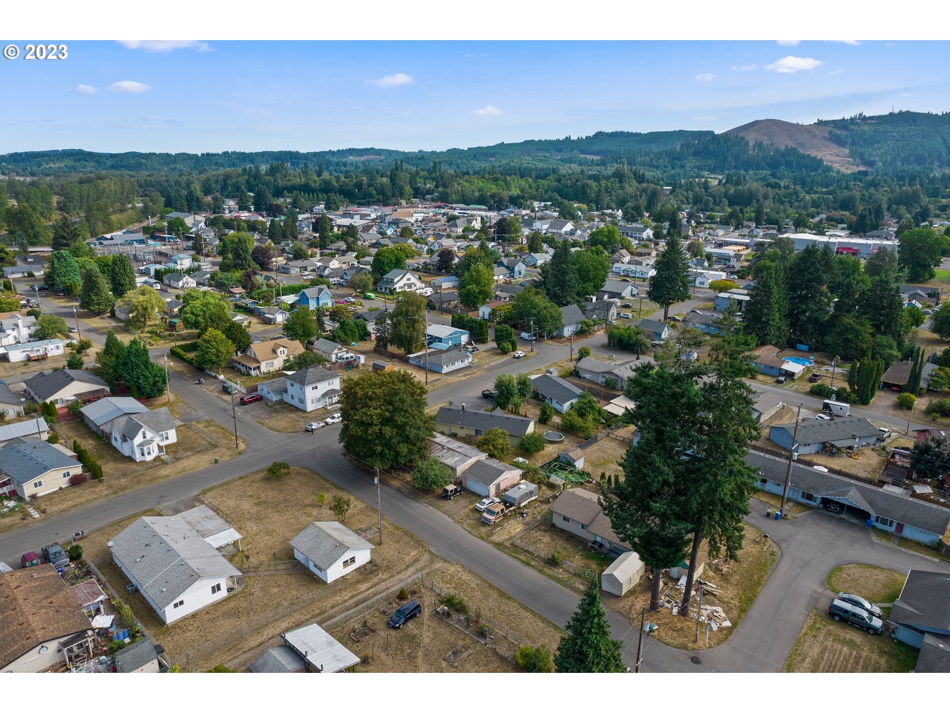 523 Warren Street Southwest Castle Rock, WA 98611 - Photo 41 of 44