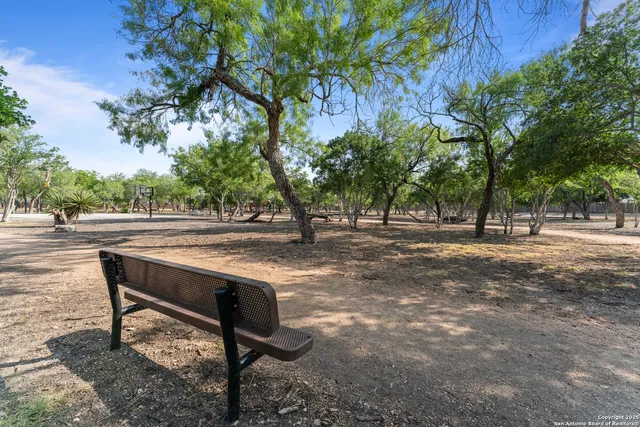 a bench sitting in a yard with large trees