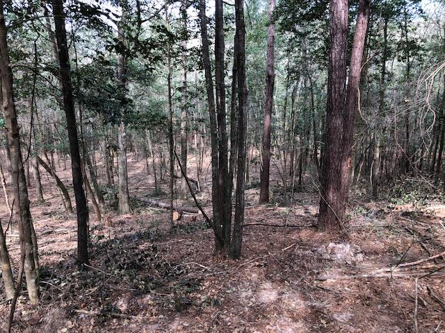 25-ac Gantt Road Andalusia, AL 36421 - Photo 31 of 36 Gallery Image 31