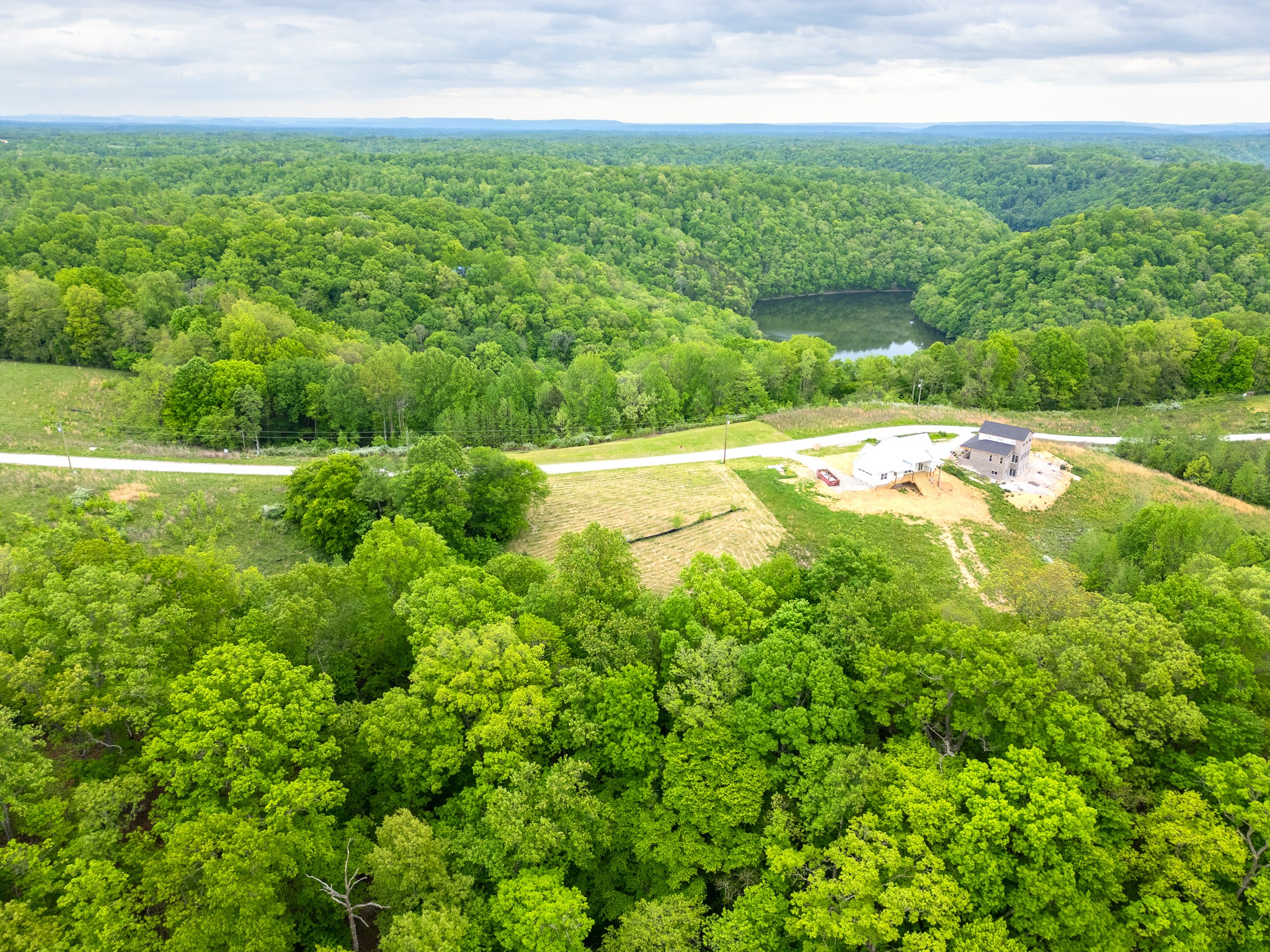 0 Lake Bluff Baxter, TN 38544 - Photo 11 of 23 a view of a yard with a large trees