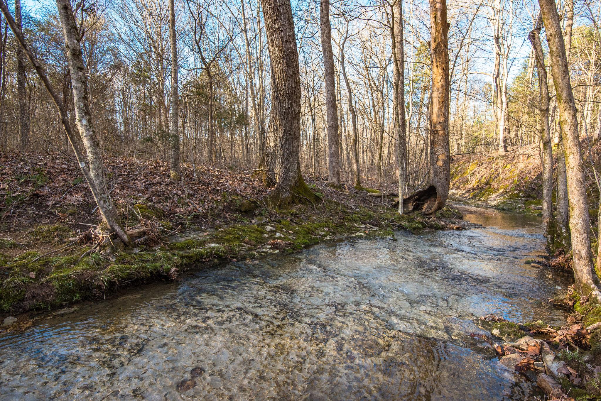7165 Bahne Road Fairview, TN 37062 - Photo 1 of 21 This creek is 12' to 15' wide and runs the entire length of the property. It is gorgeous and spring fed