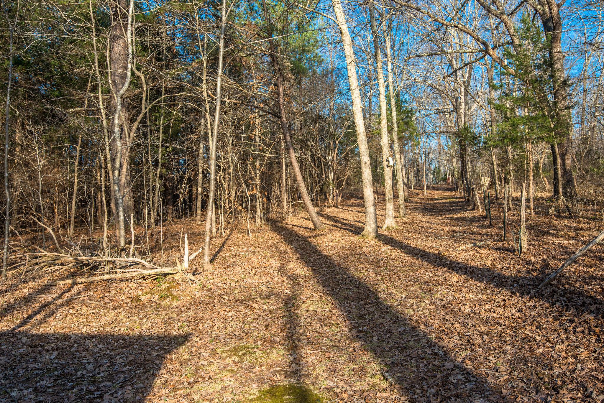7165 Bahne Road Fairview, TN 37062 - Photo 12 of 21 Own a piece of gorgeous Williamson County land.