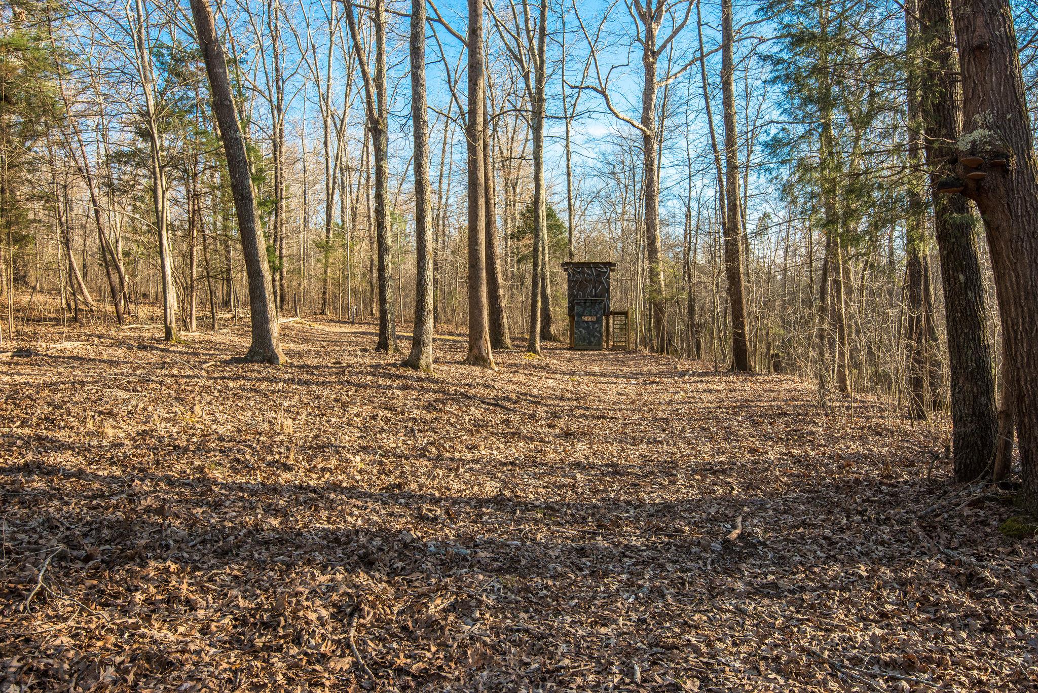 7165 Bahne Road Fairview, TN 37062 - Photo 13 of 21 The property is amazingly level and usable. Easily walkable.